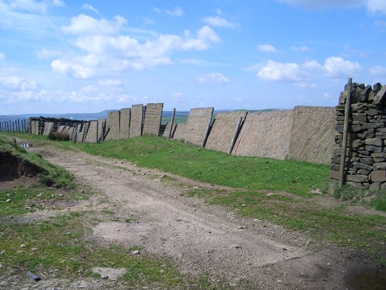 Lee Quarry Linking Tramway Showing Sleepers