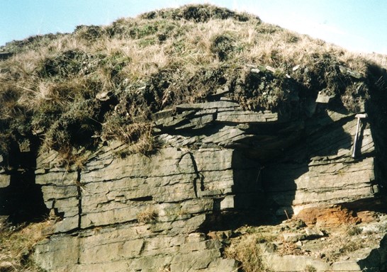 Dyneley Knoll flags at Heald Quarry showing natural flaggy parting