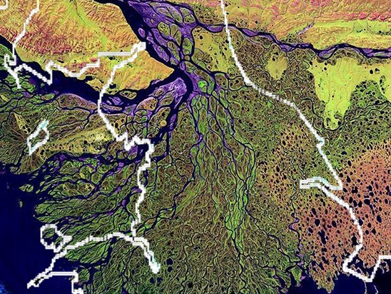 Picture showing Delta