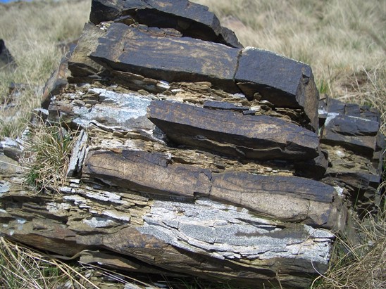 Alternating silts and sands at Thurns Head Quarry