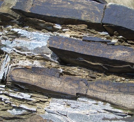 Alternating silts and sands at Thurns Head Quarry